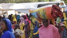 Cameroun&nbsp;: les affrontements dans l’Extrême-Nord déplacent plus de 100 000 personnes