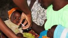 Paludisme&nbsp;: l’OMS recommande l’utilisation à grande échelle du premier vaccin antipaludique au monde
