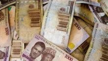 Nigeria&nbsp;: la valeur du naira divisée par 700 depuis sa création en 1973
