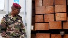 Owendo : 10 conteneurs de kevazingo retrouvés abandonnés sur le site de l’entreprise Getman
