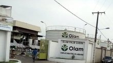 Olam Gabon se lance aussi dans la production de biocarburants&nbsp;! 
