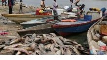 Le Gabon lève la suspension de pêche et de commercialisation de la carpe