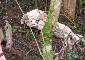 Mystérieuse disparition et décès d’un orpailleur gabonais&nbsp;: les zones d’ombre à éclaircir